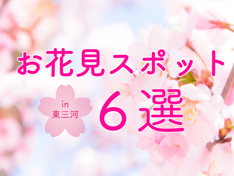東三河_お花見