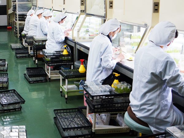 メリクロン工場