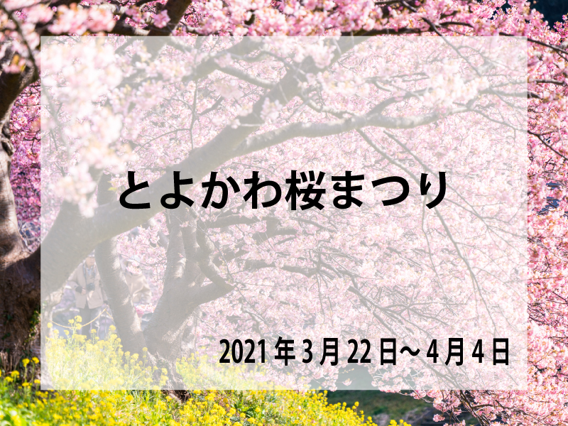 春を満喫 とよかわ桜まつり開催 Tasuki タスキ