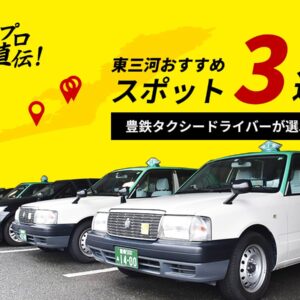 豊鉄タクシー_おすすめ