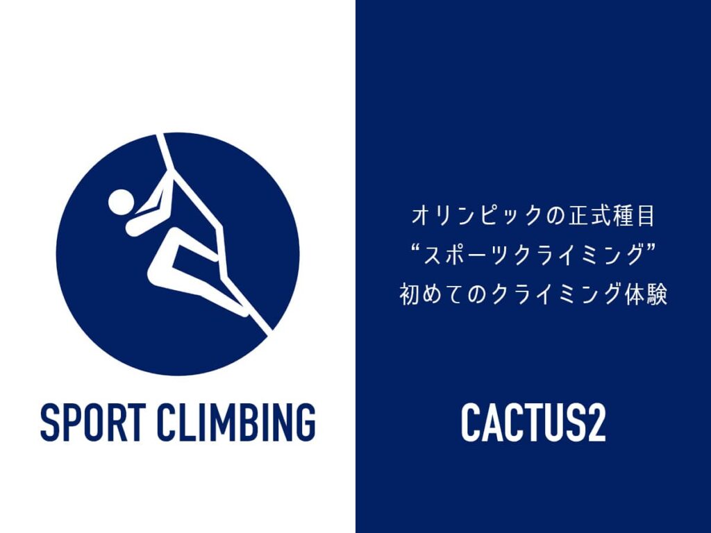 オリンピックスポーツクライミング_cactus2