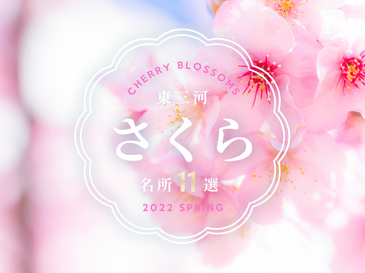 【桜の名所がいっぱい！】東三河のオススメ花見スポット11選
