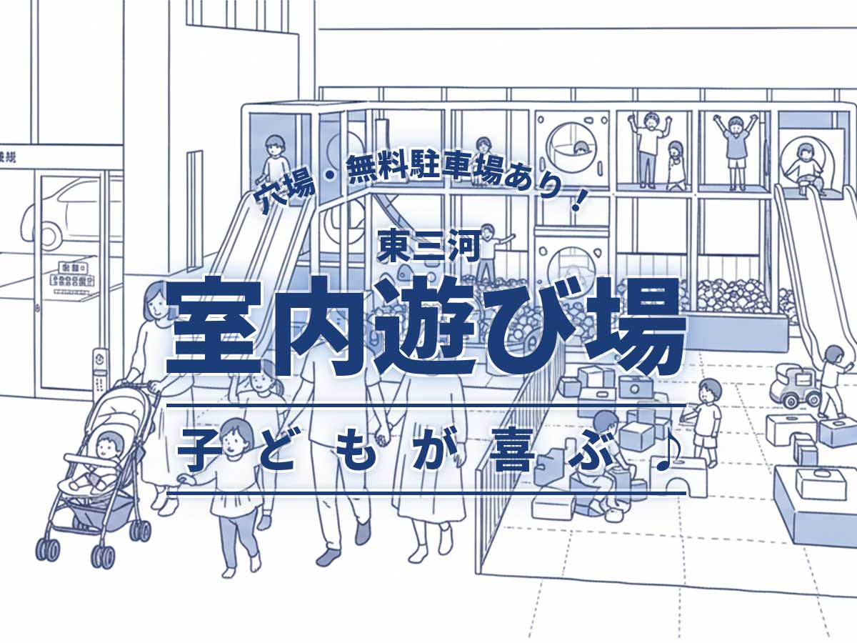 東三河子供室内遊びスポット