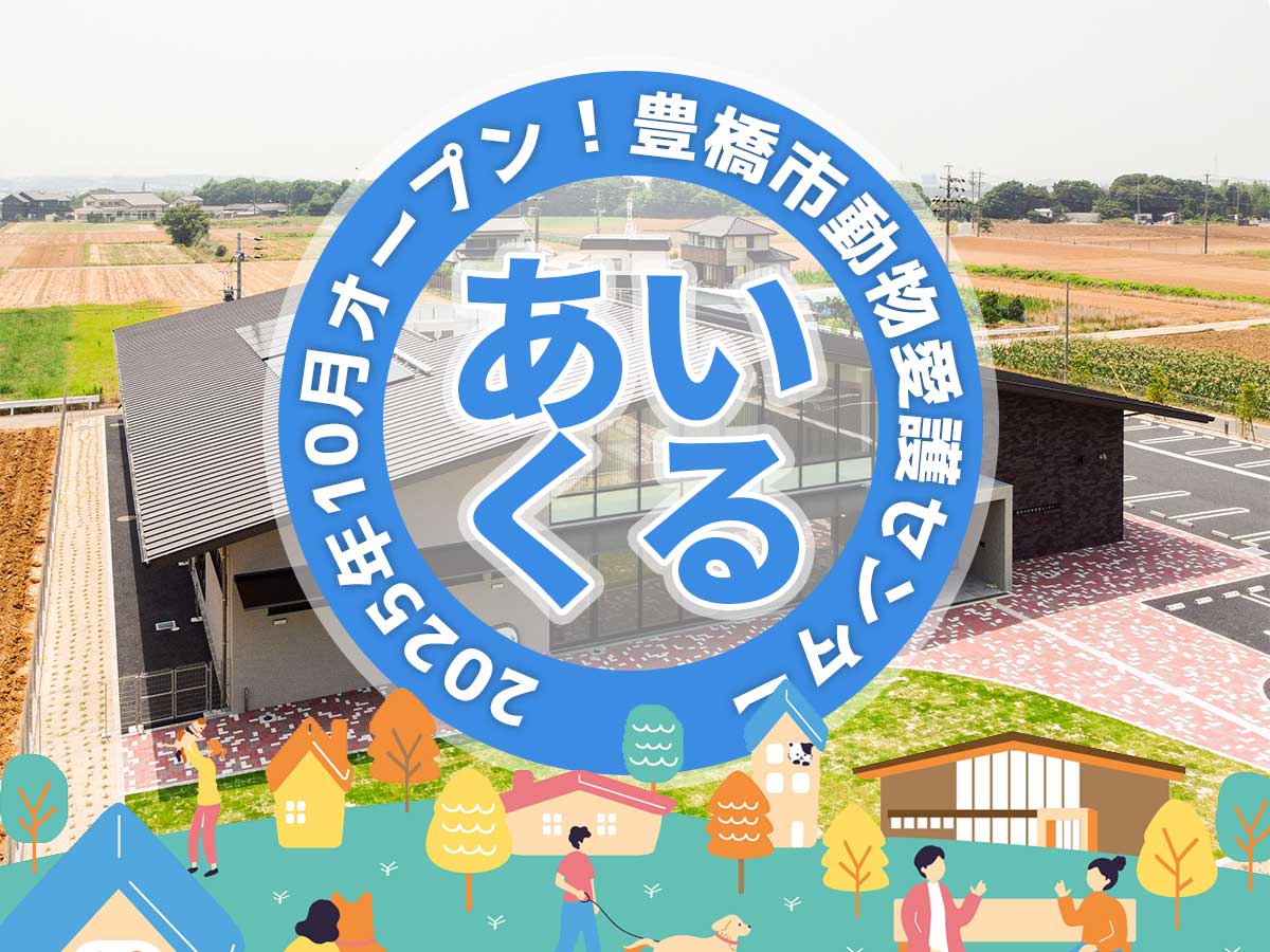 豊橋市動物愛護センター「あいくる」スポット紹介