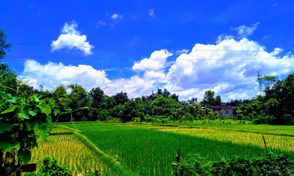 ふるさと納税は地域への感謝