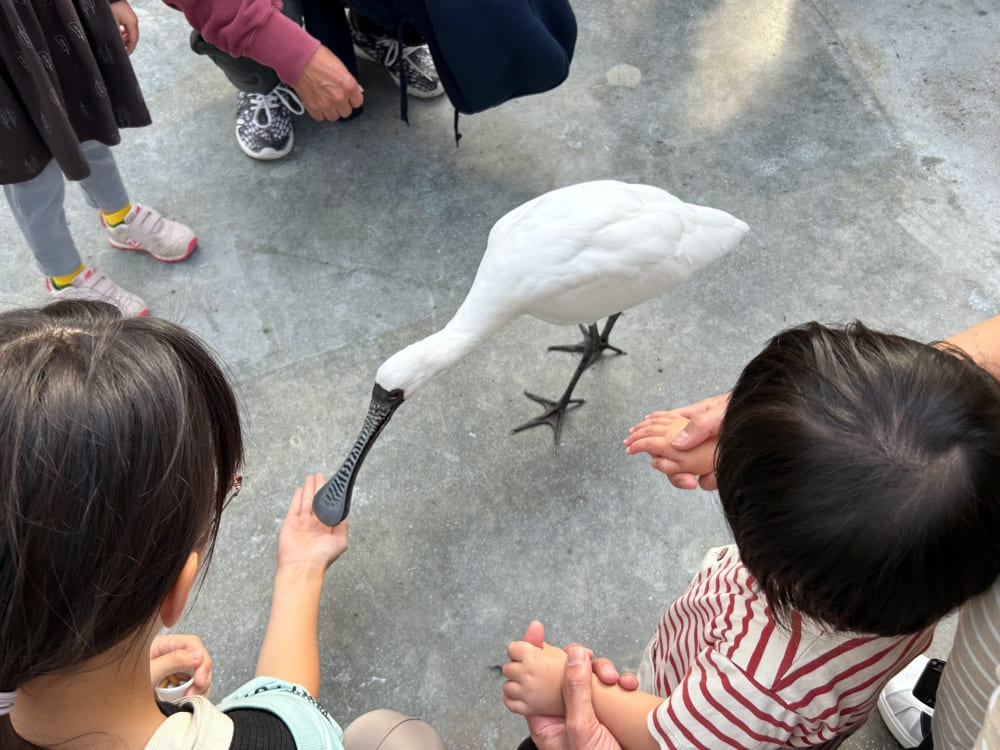 掛川花鳥園の様子