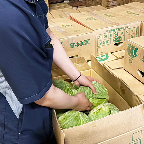 朝の時間を有効活用！地域の食を支える“大一青果”の早朝荷分け作業（アルバイト）