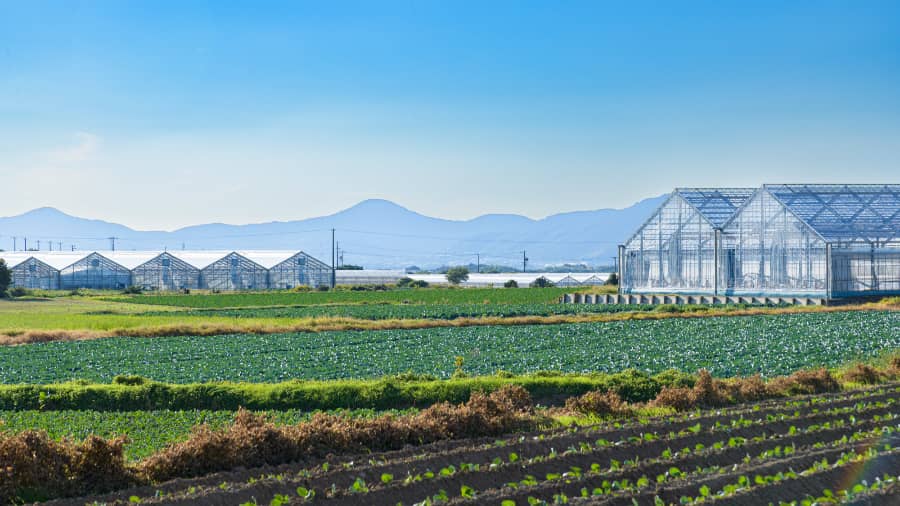 田原市転職_農業