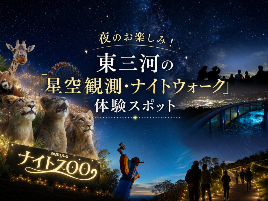 東三河夜の体験スポット