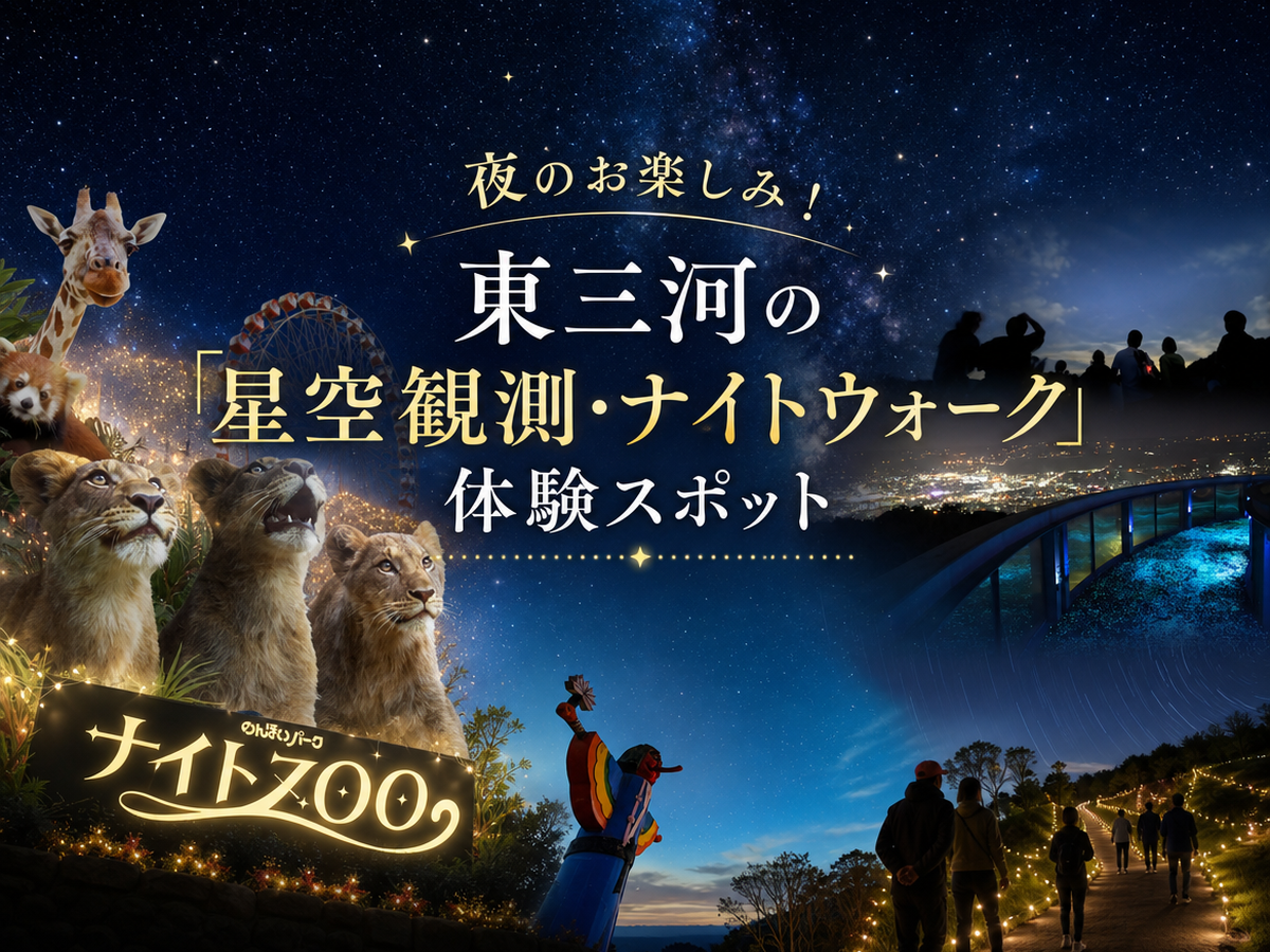 東三河夜の体験スポット