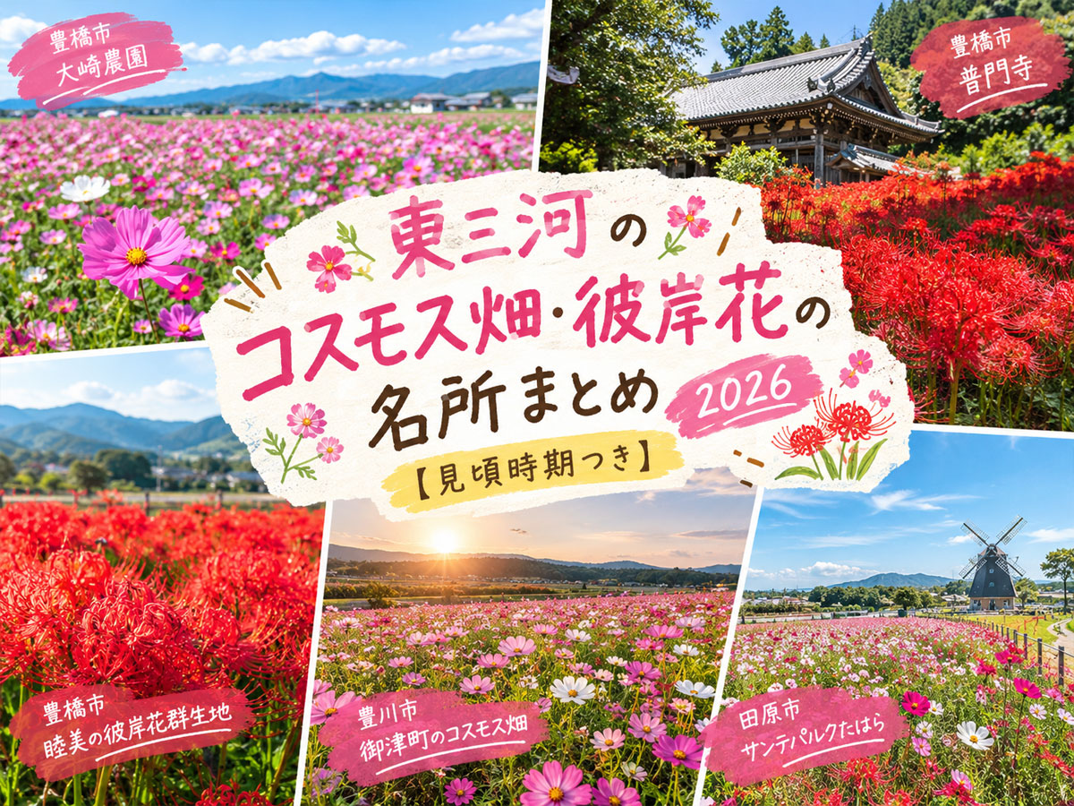 東三河のコスモス畑・彼岸花の名所