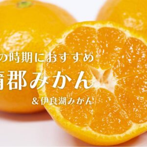 蒲郡みかんおすすめ